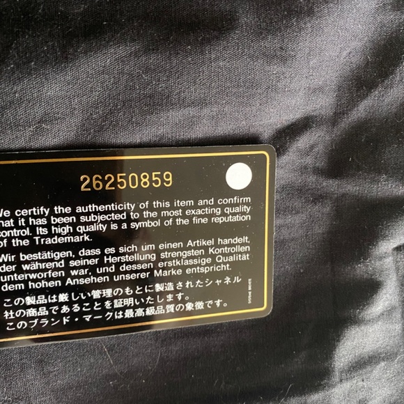 Chanel Camera Bag - Picture 15 of 17